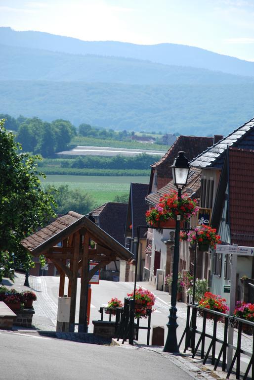 La Maison De Georges - Les Coquelicots Scharrachbergheim-Irmstett Pokoj fotografie